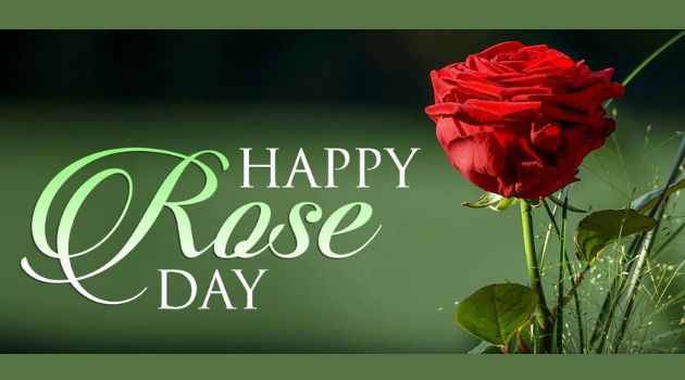 rose day pic
